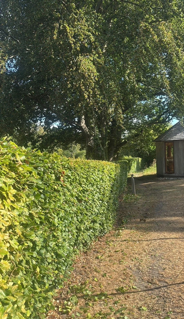 Garden maintenance project by HJB Grounds & Gardens